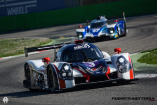 elms-4