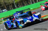 elms-5