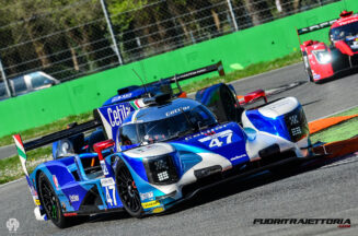 elms-5