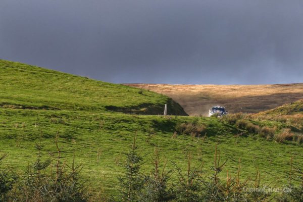 22770754_1689557334422251_5803836530471576618_o