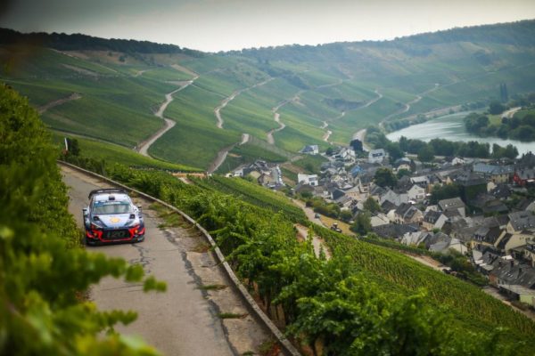 39453727_2150263565015171_3418074659378167808_o