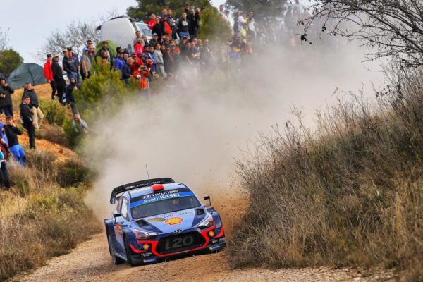 44768089_2374467082569795_1819160138687184896_n