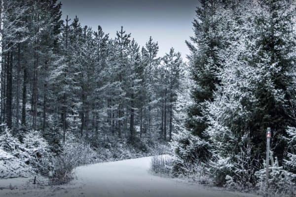 84475461_10157137053255678_2770680353222819840_n